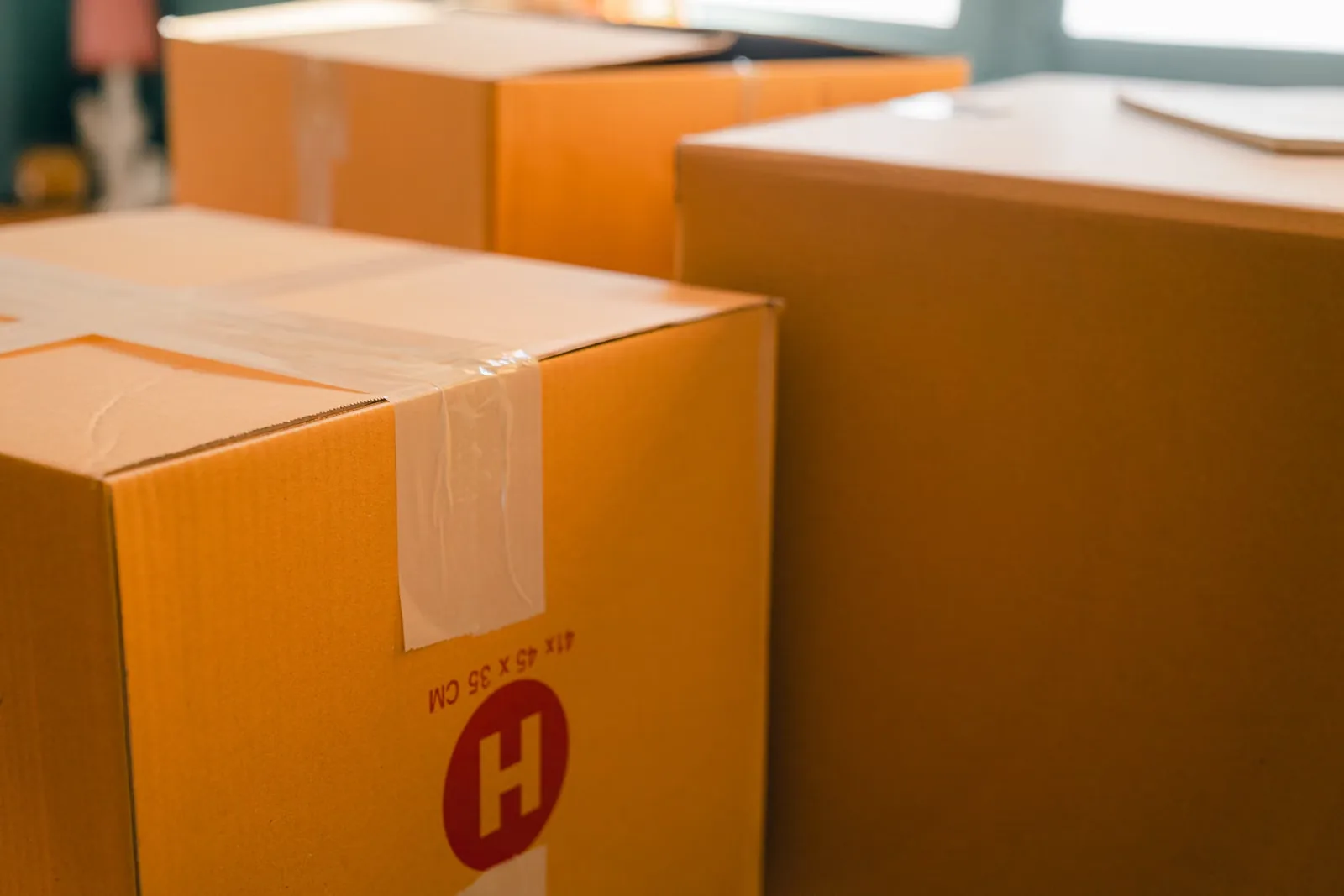 Gepackte Umzugskartons in einem hellen Wohnraum